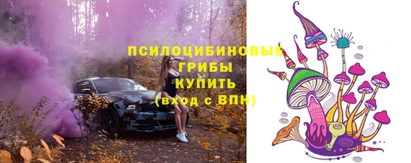 мет Богданович