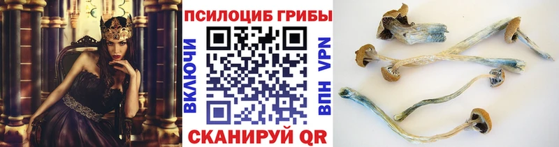 Галлюциногенные грибы прущие грибы  блэк спрут как войти  Кириллов 